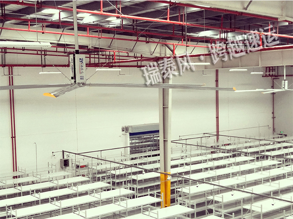 瑞泰風大型工業(yè)吊扇案例圖