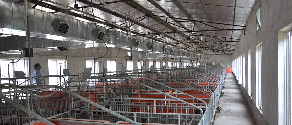 養(yǎng)殖企業(yè)環(huán)?？照{(diào)韶關(guān)番靈畜牧案例