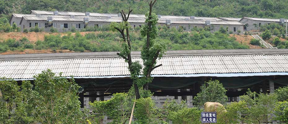 養(yǎng)殖企業(yè)環(huán)?？照{(diào)韶關(guān)番靈畜牧案例