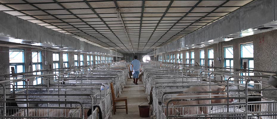 養(yǎng)殖企業(yè)環(huán)?？照{(diào)韶關(guān)番靈畜牧案例